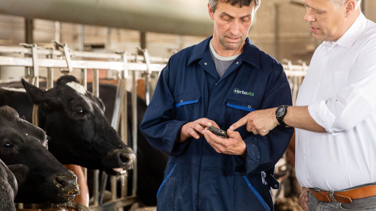 Herbavita B.V. Westerhoven afbeelding 1