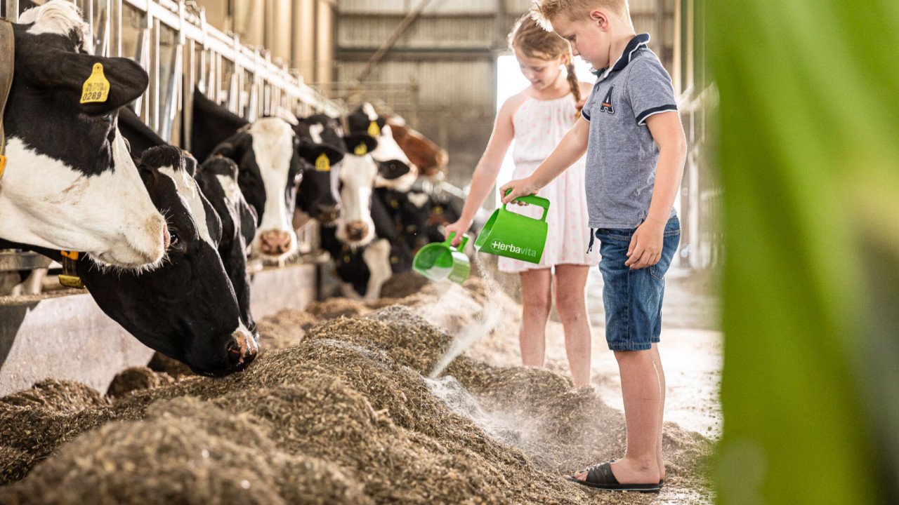 Herbavita B.V. Westerhoven afbeelding 3