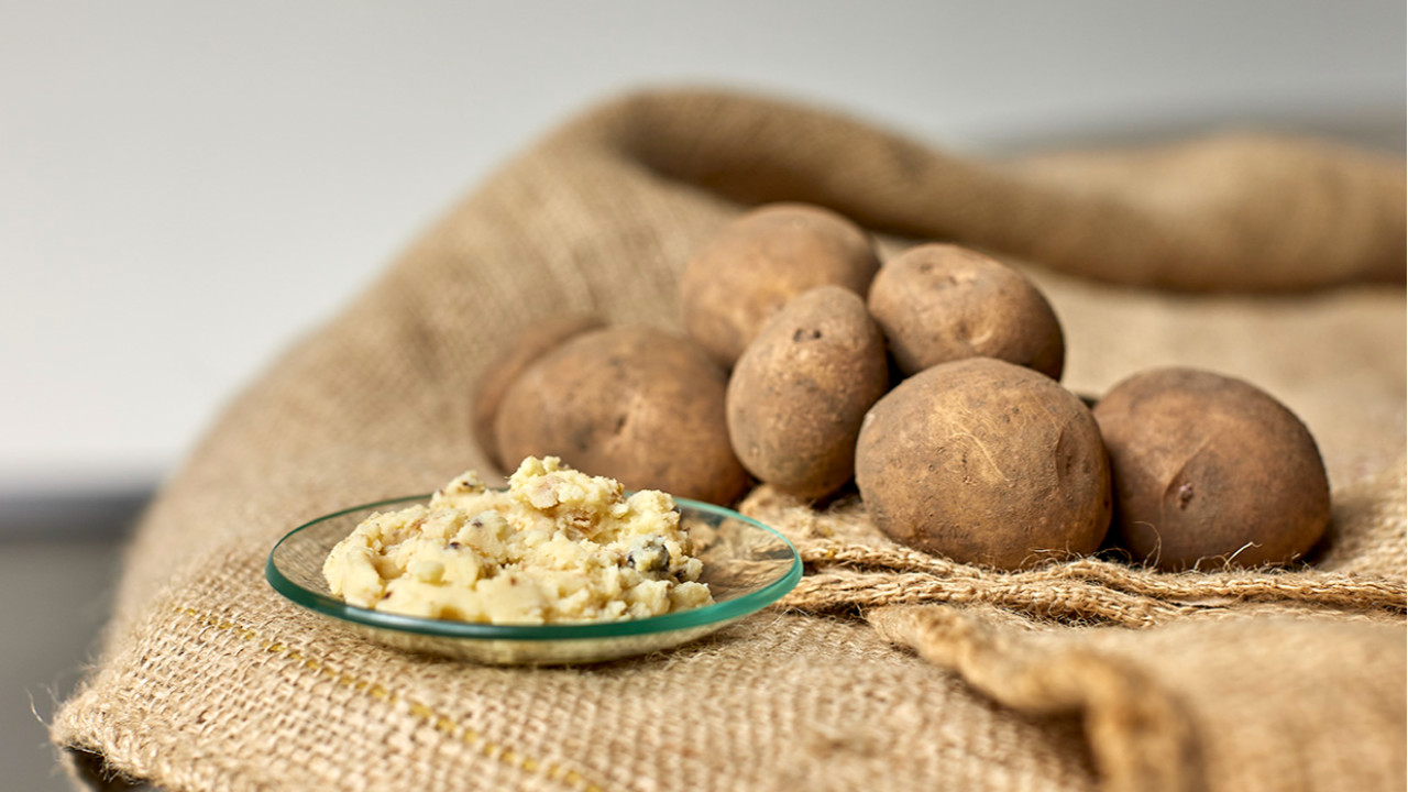 Feedura B.V. Reusel afbeelding 6