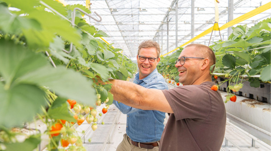 Legro Potgrondbedrijf B.V. Helmond afbeelding 4