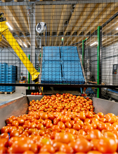 Next Handling Solutions Deurne afbeelding 5