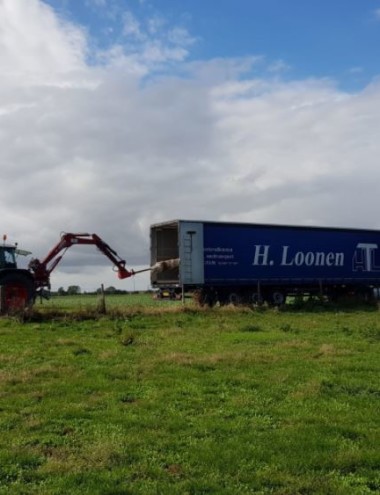 H.Loonen Koeriersbedrijf & Int. SnelTranport BERGEIJK afbeelding 3