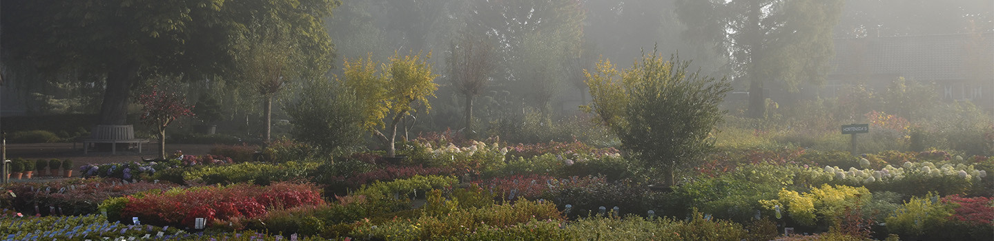 Tuinplantenwinkel.nl