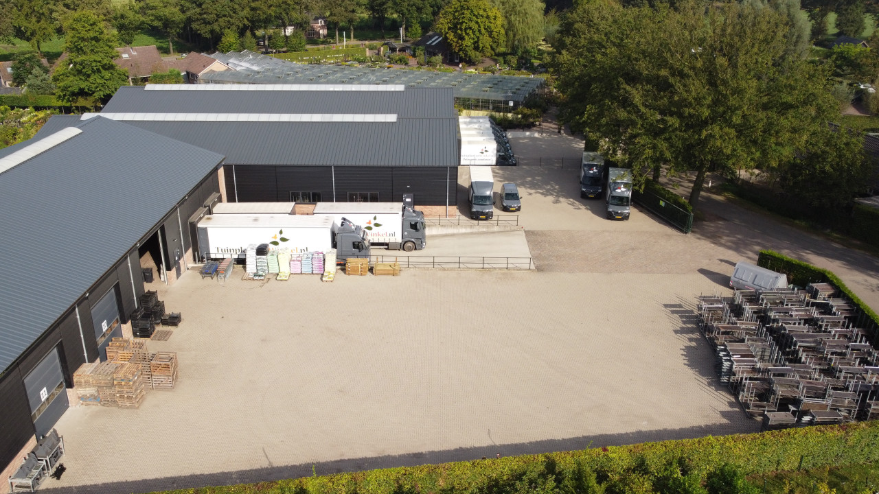 Tuinplantenwinkel.nl Knegsel afbeelding 6