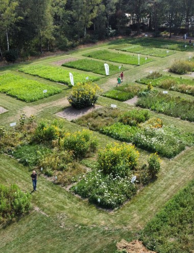 Zaadhandel Neutkens BV Vessem afbeelding 3