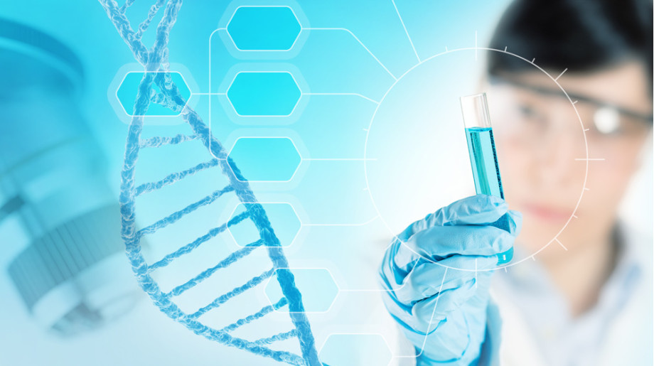 Dechra Bladel afbeelding 4