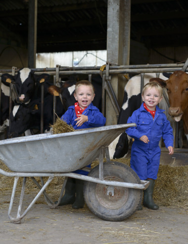 Kinderopvang Buitengewoon  Hapert afbeelding 5