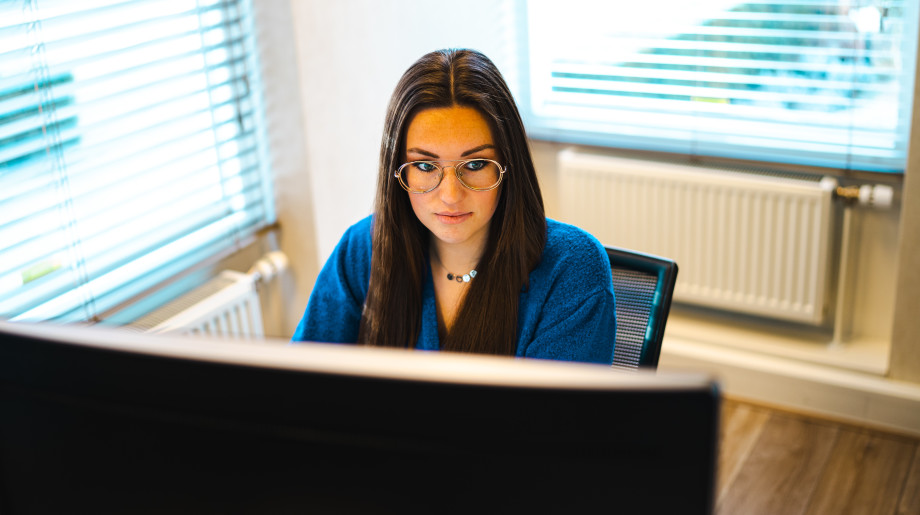 Duisenburgh  Waalre afbeelding 2