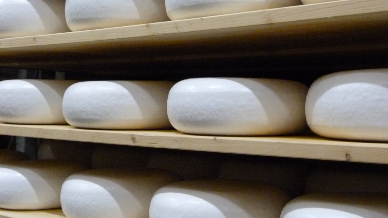 Amalthea BV Rijen afbeelding 1