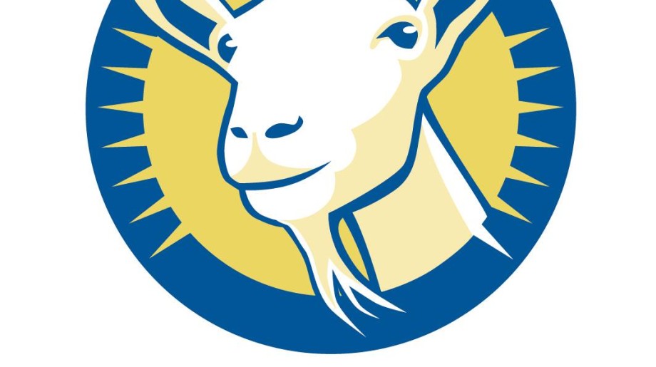 Amalthea BV Rijen afbeelding 2