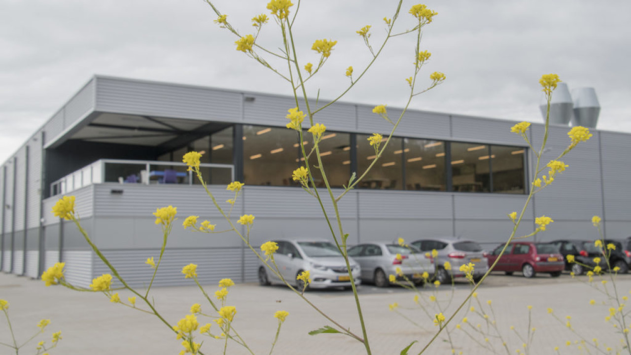 Squall International BV Hapert afbeelding 1 Squall International BV Hapert afbeelding 1