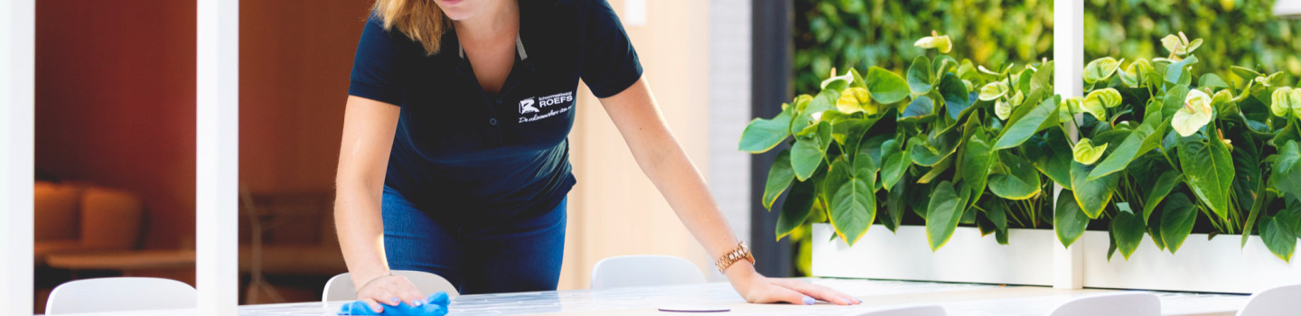 Schoonmaak topper Haghorst