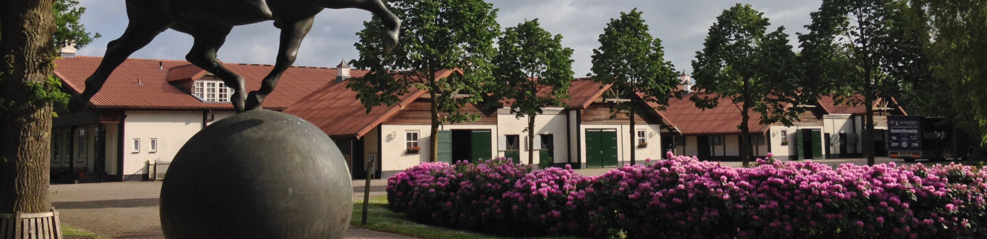 Vacature Stal- en terreinmedewerker